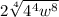 2\sqrt[4]{4^4w^8}