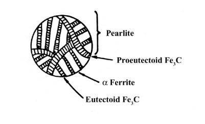 Consider 1.0 kg of austenite containing 1.15 wt% C, cooled to below 727C (1341F). (a) What is the
