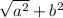 \sqrt{a^{2} } +b^{2}
