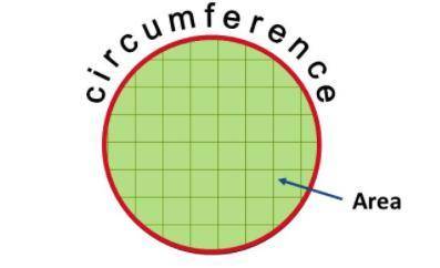 Relationship  Diameter  Circumference