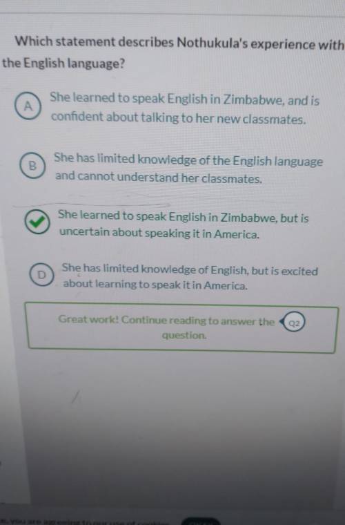 Which statement describes Nothukula's experience with the English language?