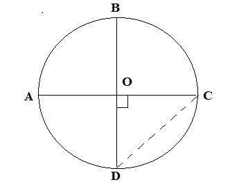 What is the arc measure of BDC in degrees when AC and BD are the diameters of circle P