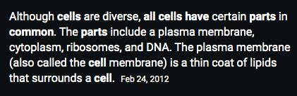 What parts do all cells have?