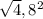\sqrt{4}, 8^{2}