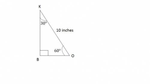 4. The hypotenuse of a 30°-60°-90° triangle measures 10 inches. Which could be the length of a leg o