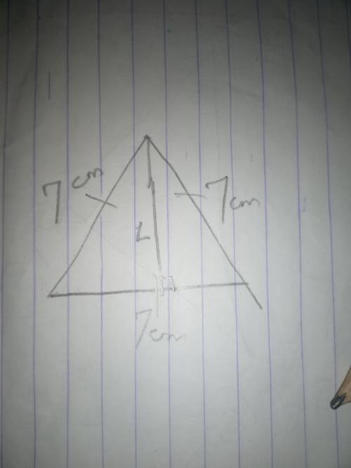An equilateral triangle has a side length of 7 cm. If a perpendicular is dropped from a corner, what