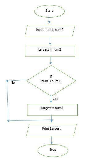 Write an algorithm and draw a flowchart to input two numbers from the user and display the largest o