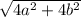 \sqrt{4a^2+4b^2}