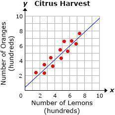 The scatter plot shows the number of oranges picked, in hundreds, in relation to the number of lemon