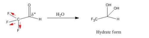 Select all of the statements that are true of the fluorinated version of the aldehyde that influence