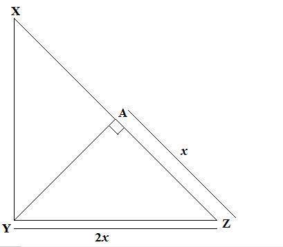 In the diagram, the length of Line segment Y Z is twice the length of Line segment A Z. Triangle X Y