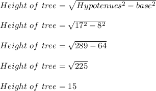 Height\ of\ tree = \sqrt{Hypotenues^2 - base^2} \\\\Height\ of\ tree = \sqrt{17^2 - 8^2} \\\\Height\ of\ tree = \sqrt{289-64}\\\\Height\ of\ tree = \sqrt{225}\\\\ Height\ of\ tree =15
