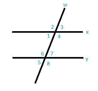 Two parallel lines are crossed by a transversal. Parallel lines x and y are cut by transversal w. On