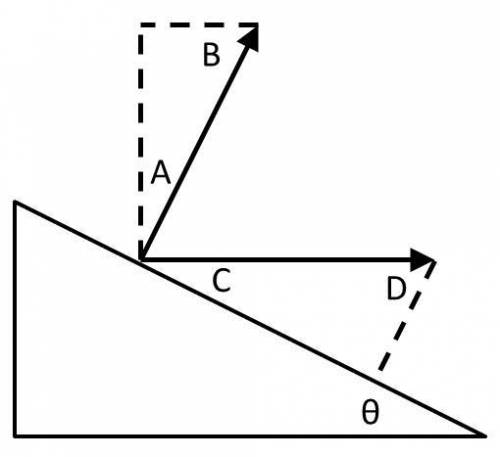 What points has the same angle as theta?