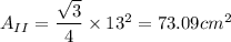 A_{II} = \dfrac{\sqrt3}{4} \times 13^2 = 73.09 cm^2