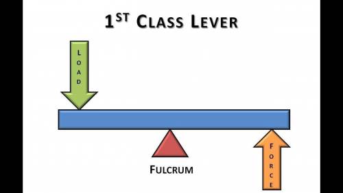 The lever on which the fulcrum is the between load and effort
