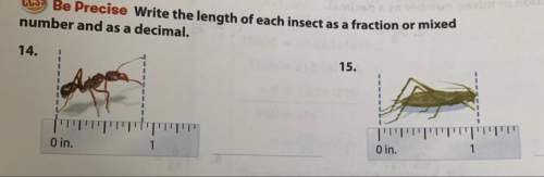 Write the length of each insect as a fraction or a mixed number and as a decimal