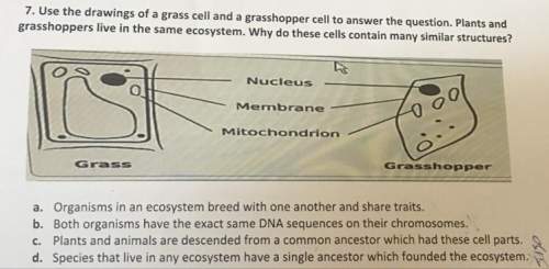 Use the drawings of a grass cell and a grasshopper cell to answer the question. plants and grasshopp
