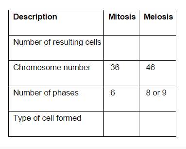 Complete the table compare meiosis with mitosis. how does meiosis differ from mitosis? &lt;