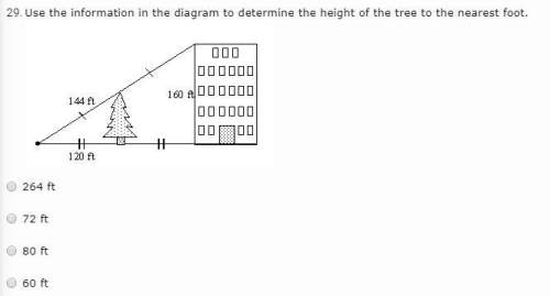 Use the information in the diagram to determine the height of the tree to the nearest foot.