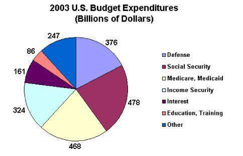 According to the pie chart, which function consumed the largest portion of government expenditures i