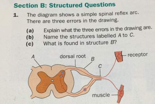 Section b: structured questions the diagram shows a simple spinal reflex arc.  th