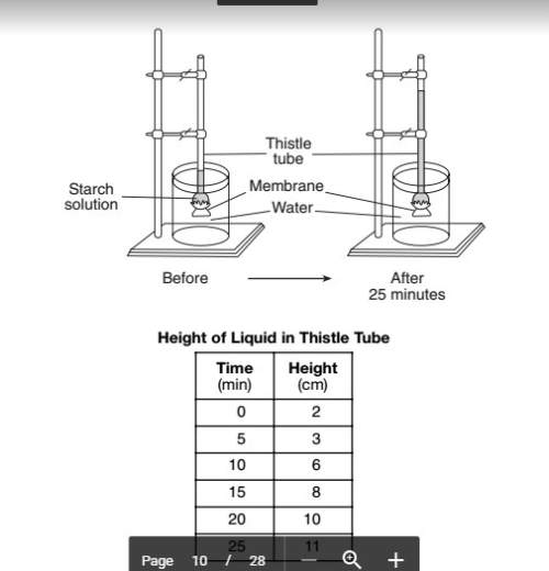 Explain why the height of the solution in the thistle tube increased during the 25-minute period