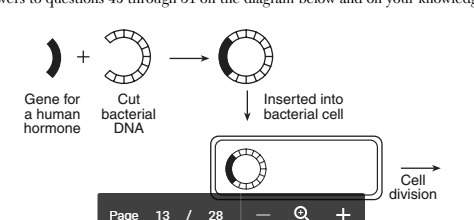 "the process represented in the diagram is (1)dna replication (2)natural selection