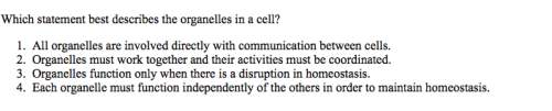 Which statement best describes the organelles in a cell--
