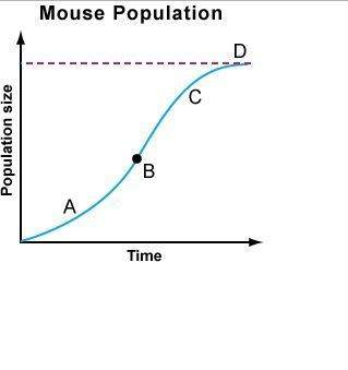 "the graph below shows the population of mice in an ecosystem where the mice are not allowed to ente