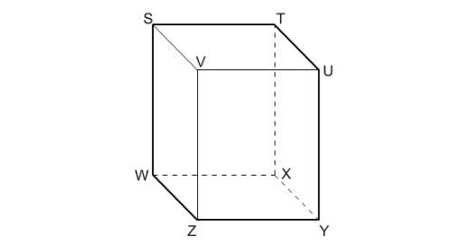 What is the intersection of plane wzvs and plane stuv?
