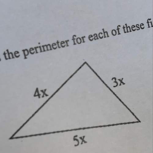19. x+1 +4 x+4 how do i find the perimeter