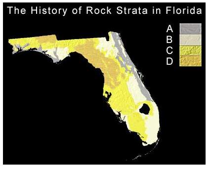 Examine the florida map shown below. using the principal of superposition, which of the following st