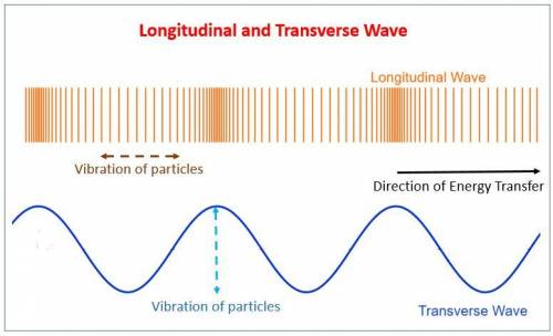 I NEED HELP PLEASE, THANKS! :)

Explain how surface waves can have characteristics of both longitudi
