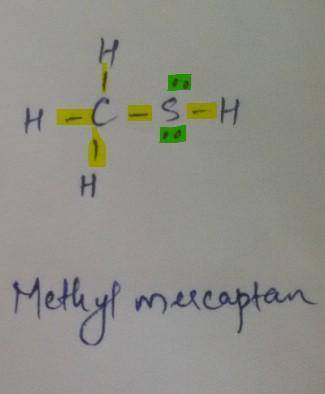 Lewis structure of methyl metcaptain