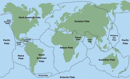 Which plate forms a boundary with the African Plate? Pacific South American Australian Philippine