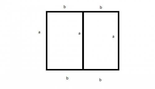 A physical education teacher is planning to outline two adjacent identical rectangular areas for a n