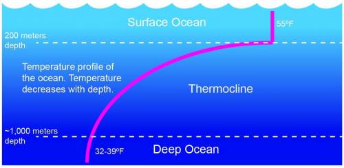 The graph below shows the temperature of ocean water at different depths. Which part of the graph re