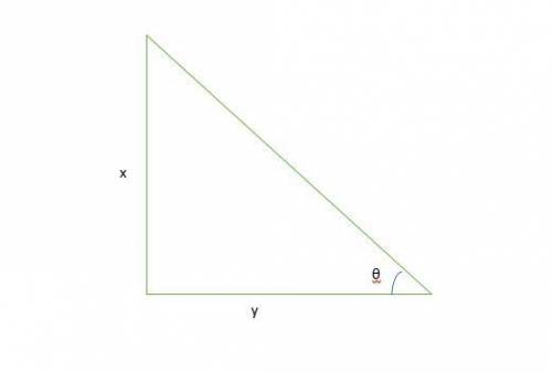 What would be the angle of elevation of a tree from the ground, if the height of the

tree and its s