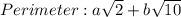 Perimeter: a\sqrt{2} + b\sqrt{10}