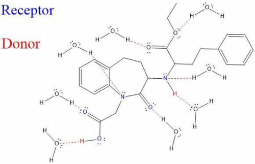 Hydrogen Bonding with Water - Your Drug Lotensin Directions: Show the structure of your molecule bel