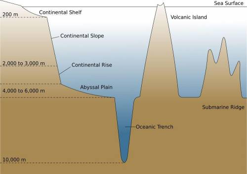 Which statement describes one event that happens at deep-ocean trenches?

Crust is formed
Mountains