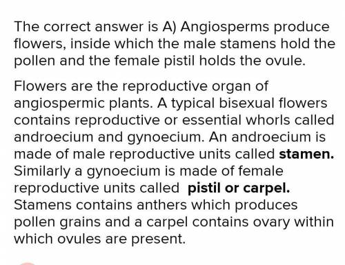 Which of the following best describes the male and female reproductive structures of an angiosperm?