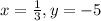 x = \frac{1}{3}, y = -5