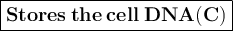 \large{ \boxed{ \bf{ \pink{Stores \: the \: cell \: DNA(C)}}}}