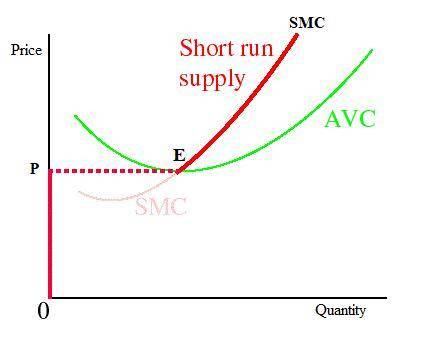Use your own language to explain that short run supply curve by a price-taking firm is the positivel