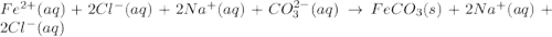 Fe^{2+}(aq)+2Cl^-(aq) + 2Na^+(aq)+CO_3^{2-}(aq) \rightarrow FeCO_3(s) + 2Na^+(aq)+2Cl^-(aq)