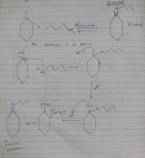 Draw the neutral organic product expected under these reaction conditions.