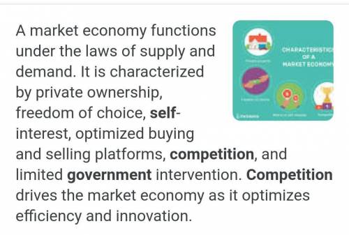 Which characteristics is features of a market econmy