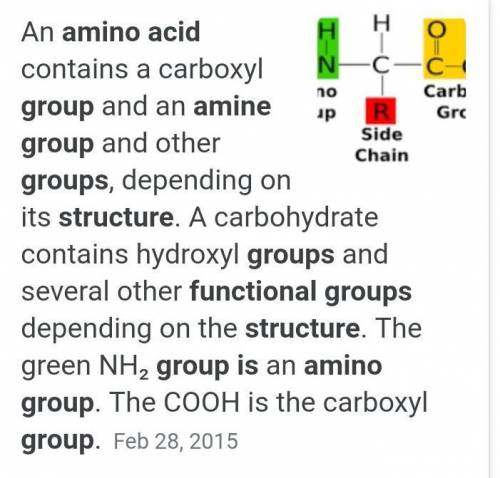 How many functional groups are present in structure of amino acids? a) 2 b) 3 c) 4 d)5